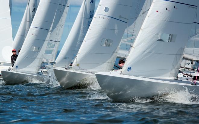 The start lines were tight in last weekend's Etchells Brisbane Fleet Championship. © Daniel Alcock